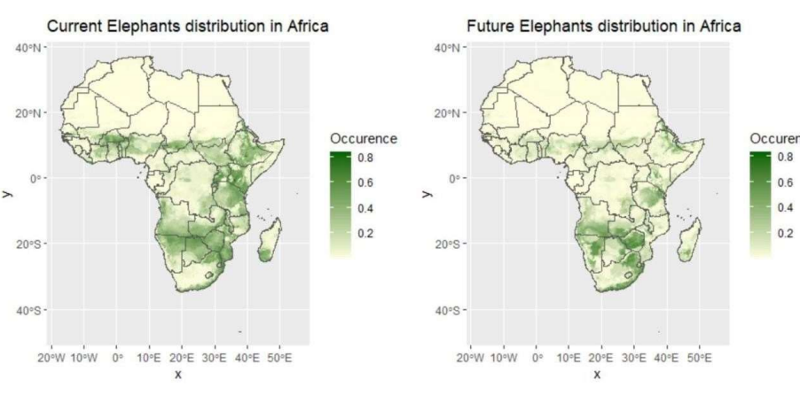 elephants map