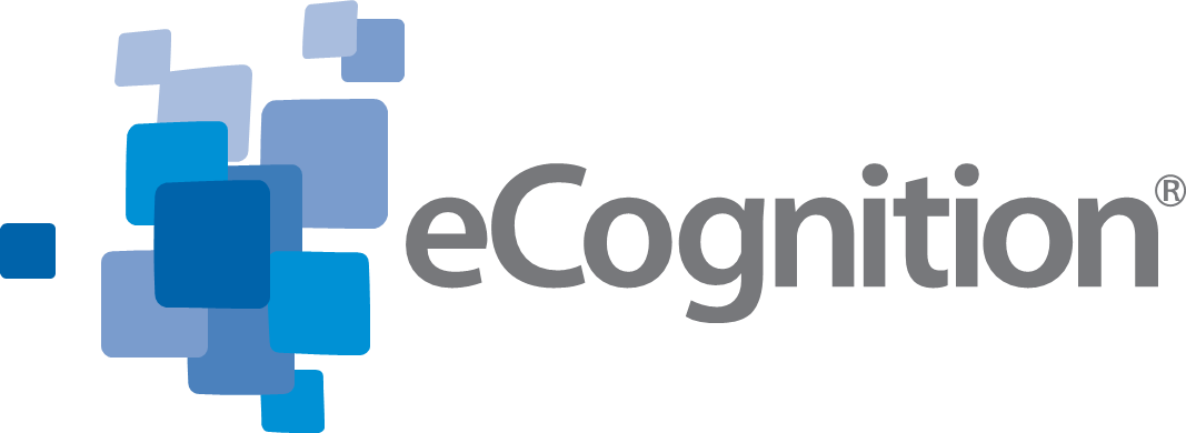 eCognition